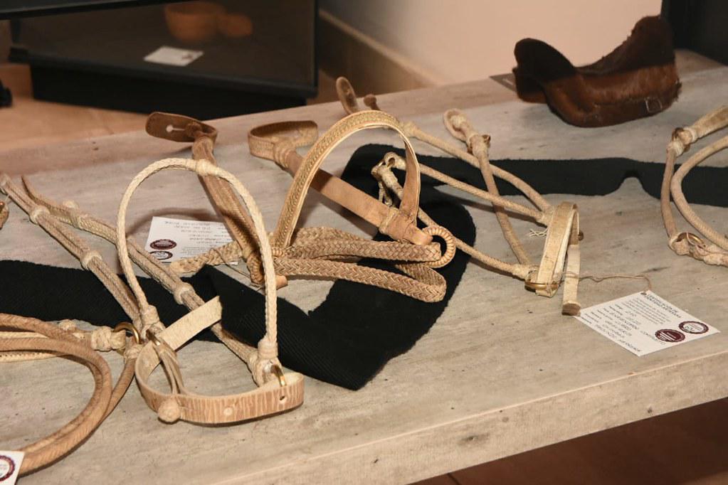 50706350941_f791fc353a_b