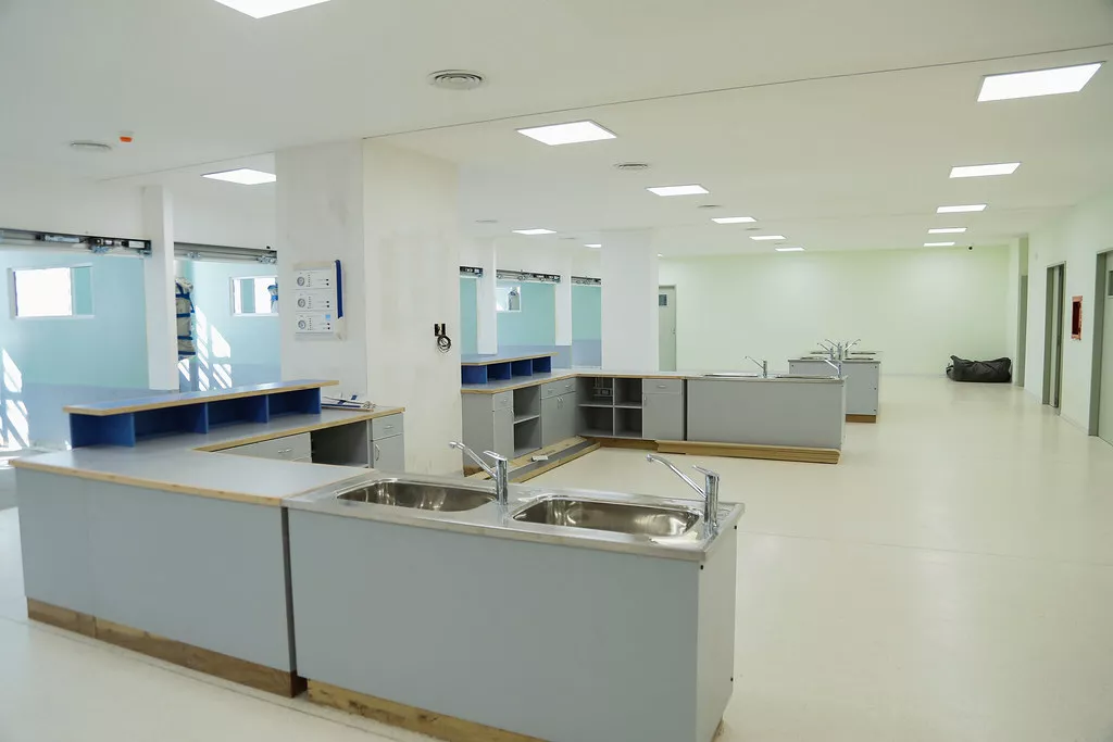 52310814724_2635edca4c_b