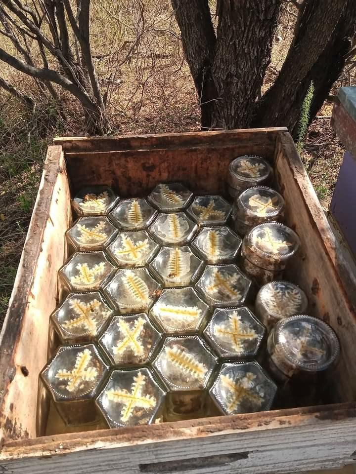 B612_20201127_231653_095