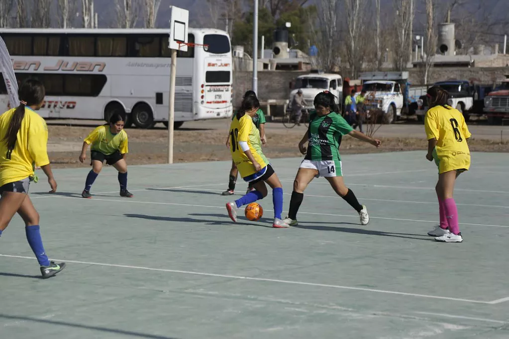 52243290341_508ab56d52_b (1)