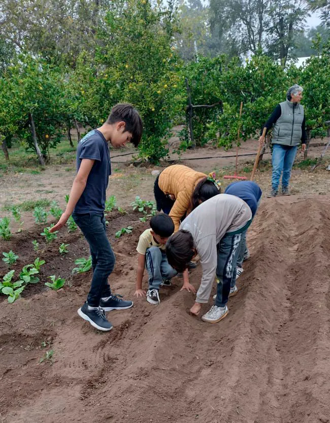 352427289_801020554753032_1021939788739187174_n