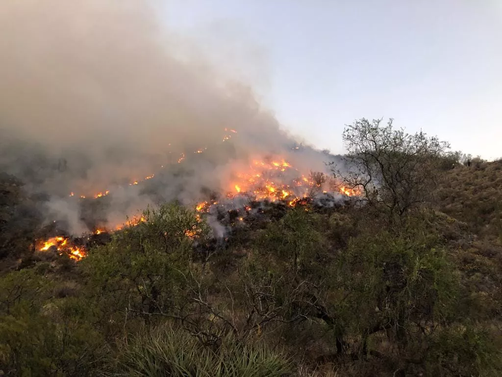 315746058_5417334651721720_6792177682059083213_n