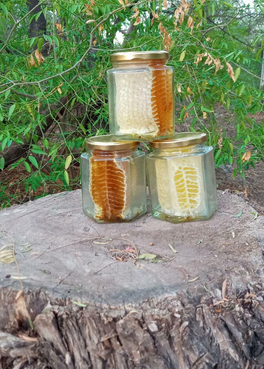 B612_20201127_231844_708