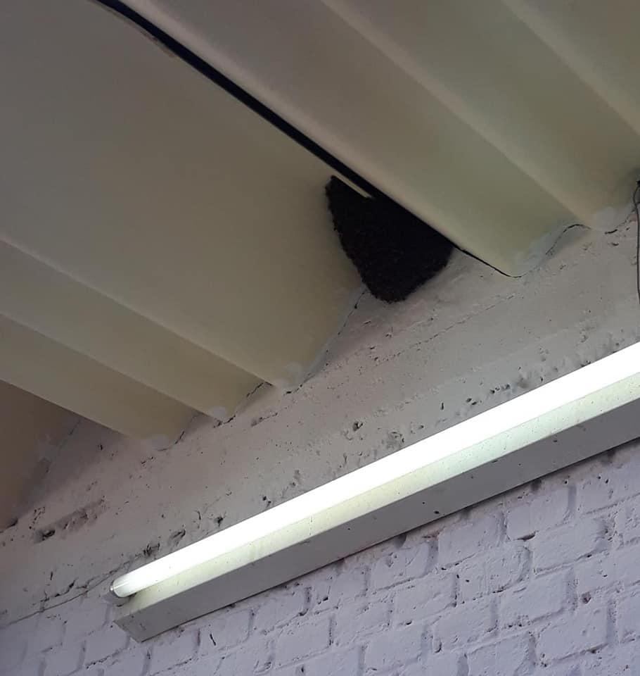 240662642_1794379374102426_4831535601628124447_n