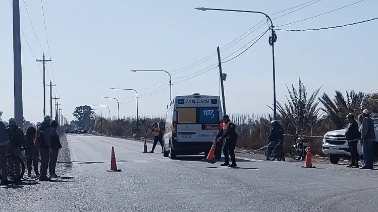 whatsapp_image_2023-08-18_at_14_53_29.jpeg_1057082476