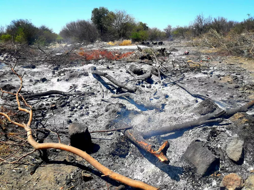 311587423_111625971727486_850113258402202195_n