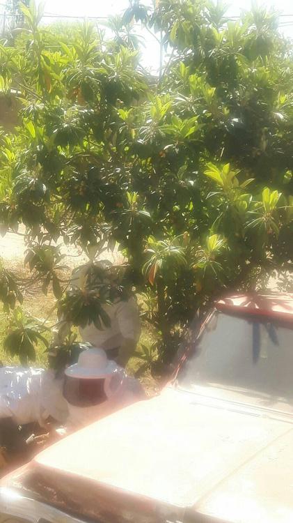 243561818_395564542128274_6020469971968811021_n