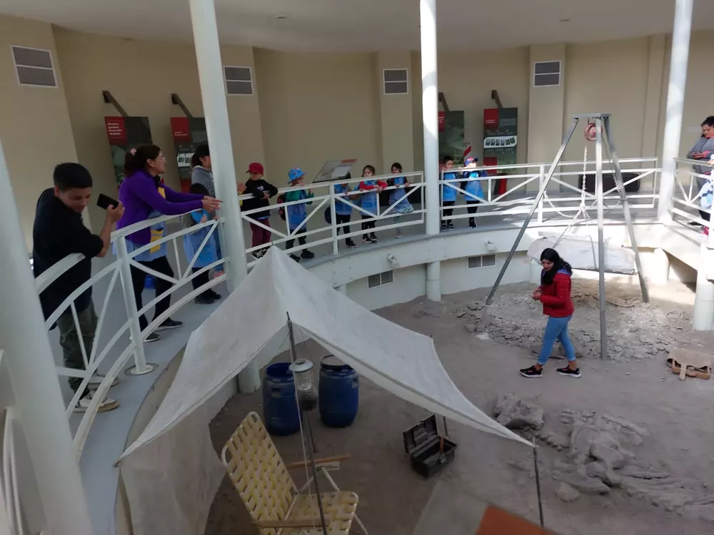 343746653_1396428917780927_4475692195506521378_n