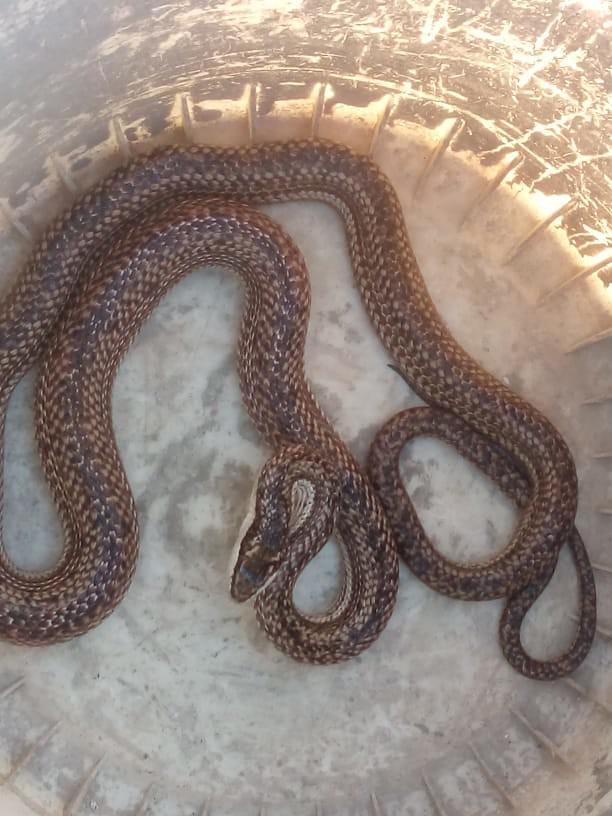 51127692499_3db3849c9a_b