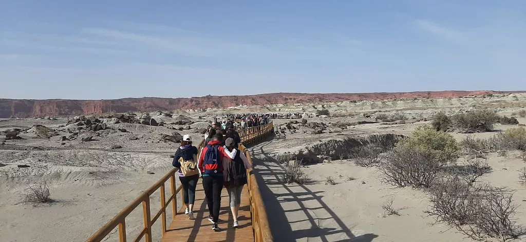 52420763350_df57e0e74a_b