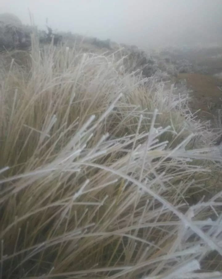 FB_IMG_1656104707364