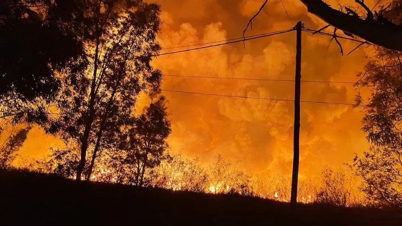 f800x450-311623_363069_5050