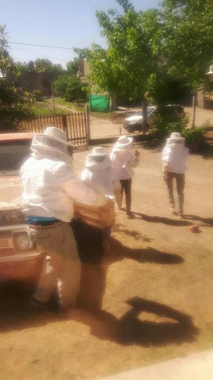 243320857_395564528794942_7852714984789780337_n