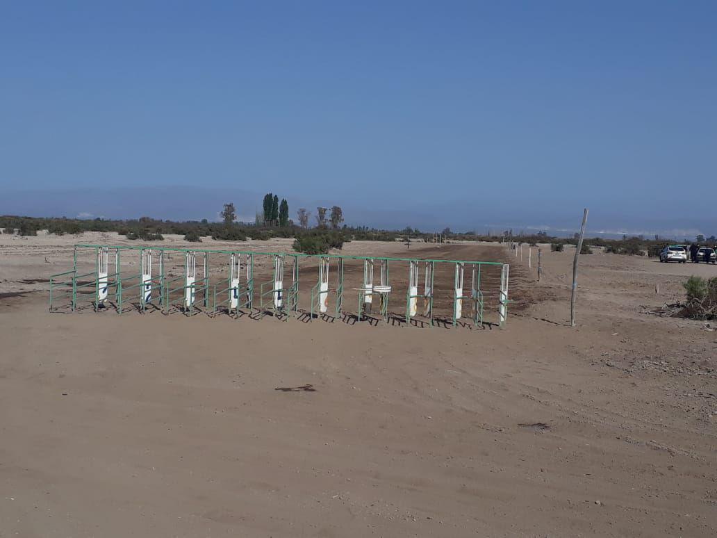 20201011041909de2dd6b2cf7d4c4096a757414cdd90da