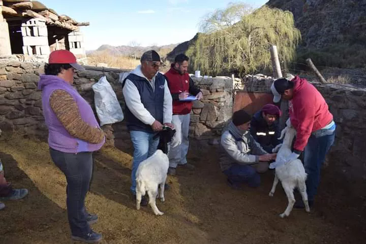 FB_IMG_1660246638208