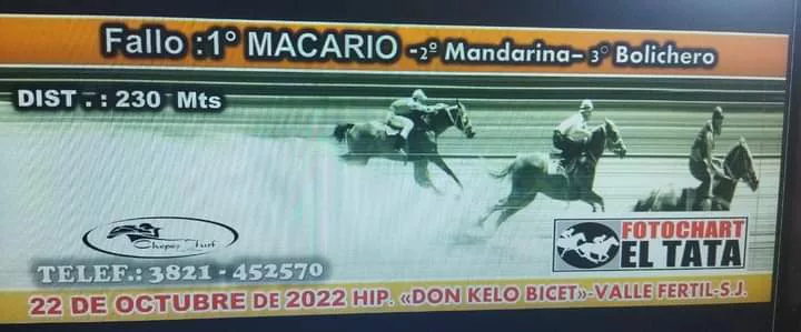 FB_IMG_1666475730748