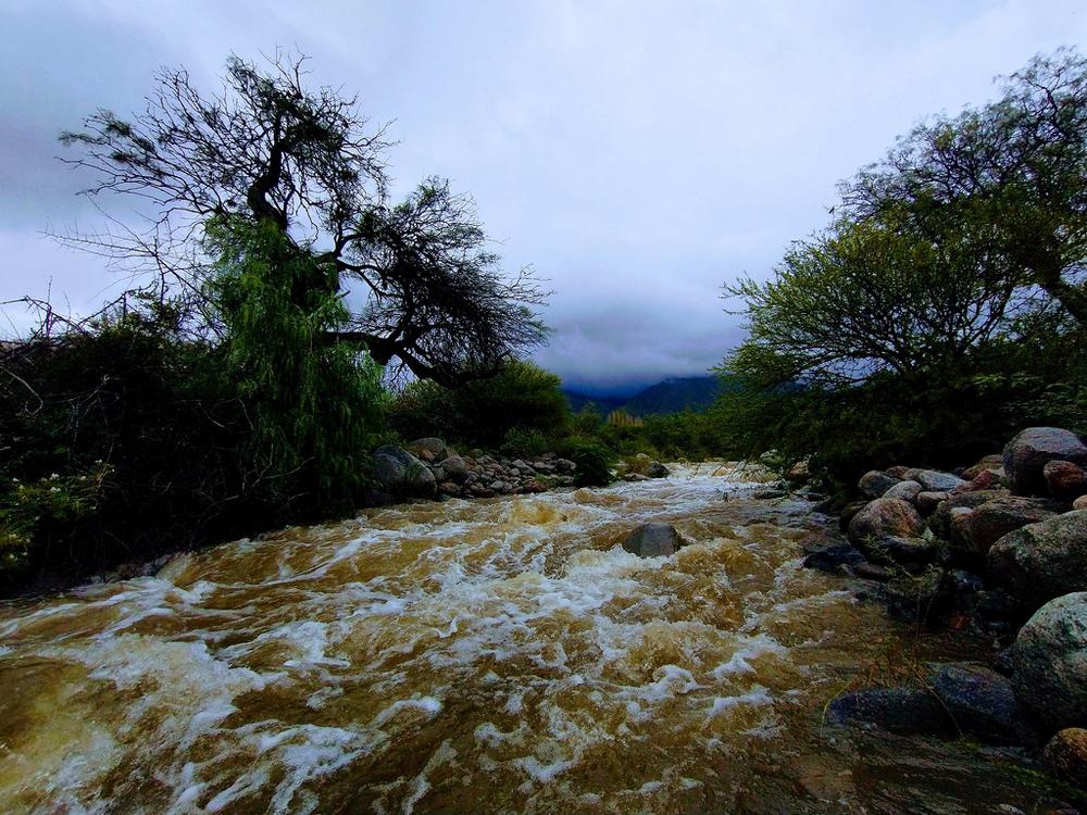 160562878_10208113969804781_8143684466038043786_o