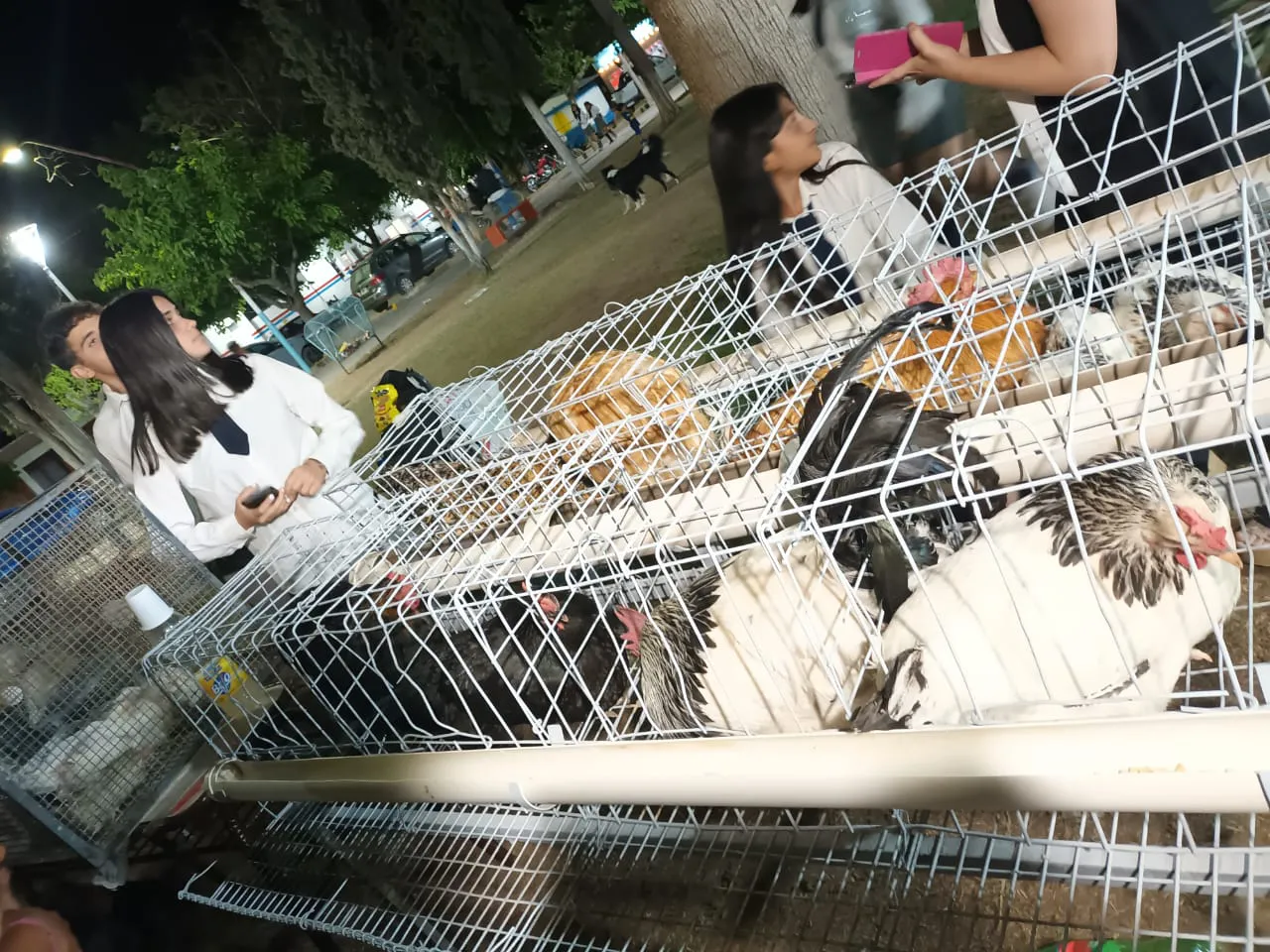 IMG-20231116-WA0097