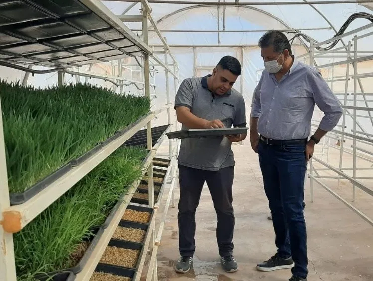 f1p4verde_crop1674269961994.jpg_2061873324