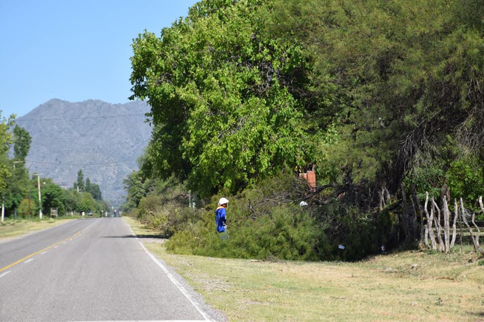 143886042_3763377677038743_1936692596123822503_n