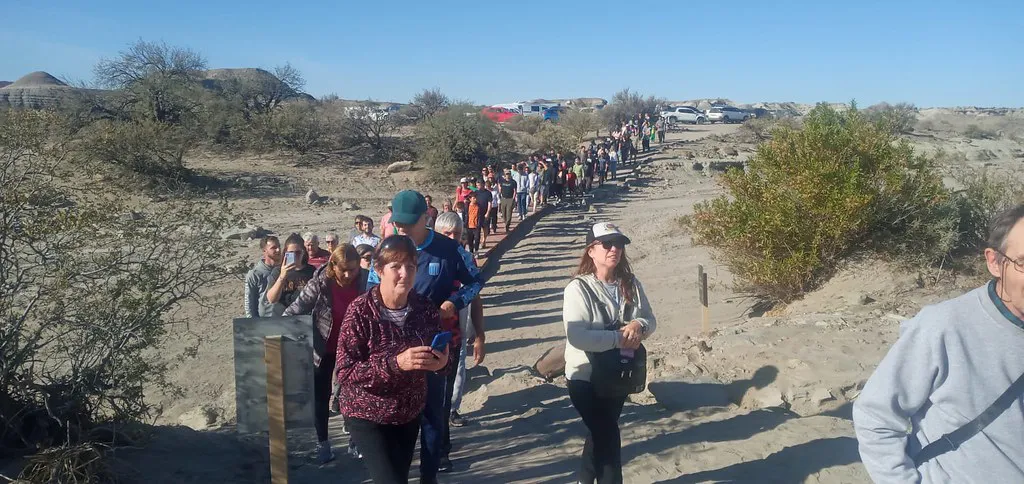 52933504475_420eb6df4d_b