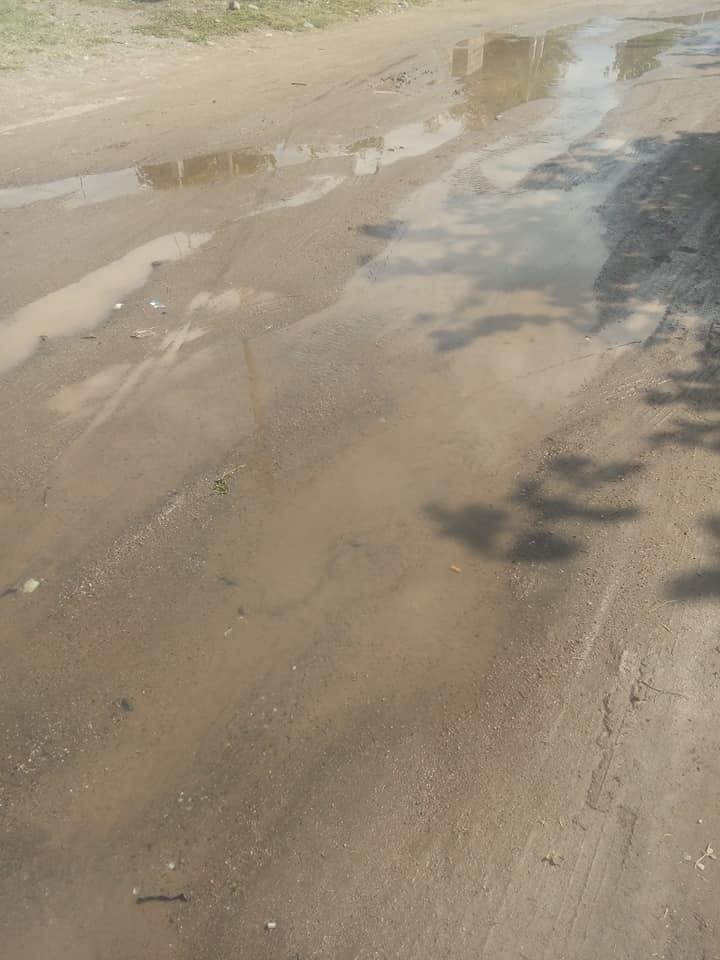 160306074_935427396997088_3447528893604086708_n