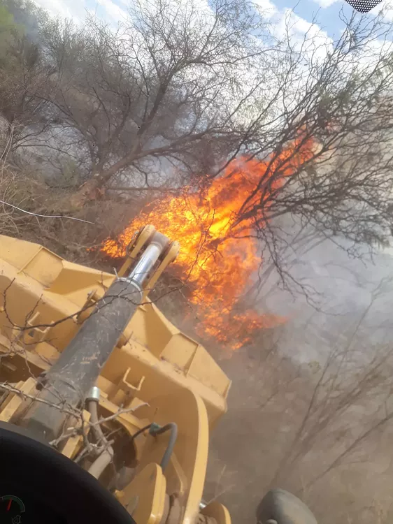 314013589_10159204730241198_7279350870119833413_n