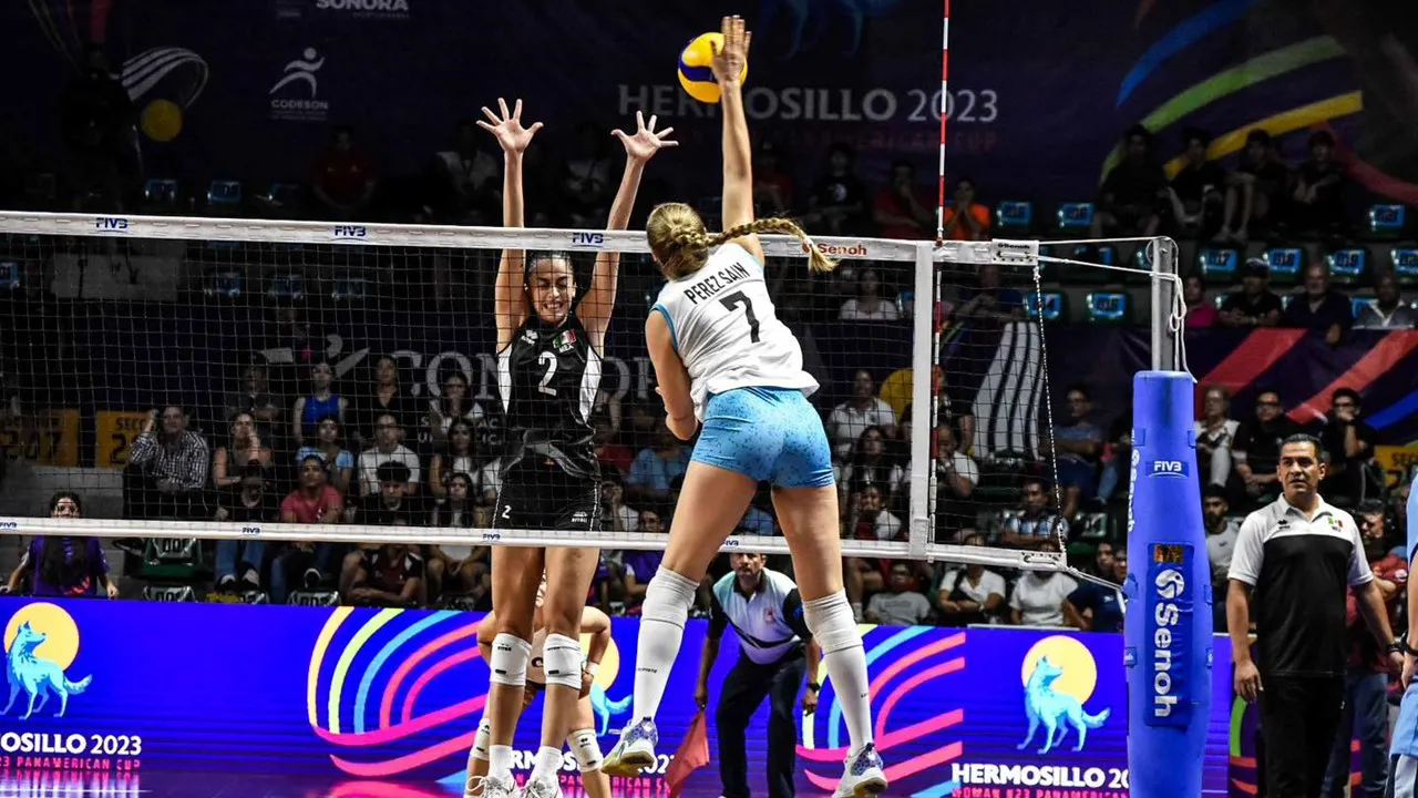 53061585538_c925079d0b_o