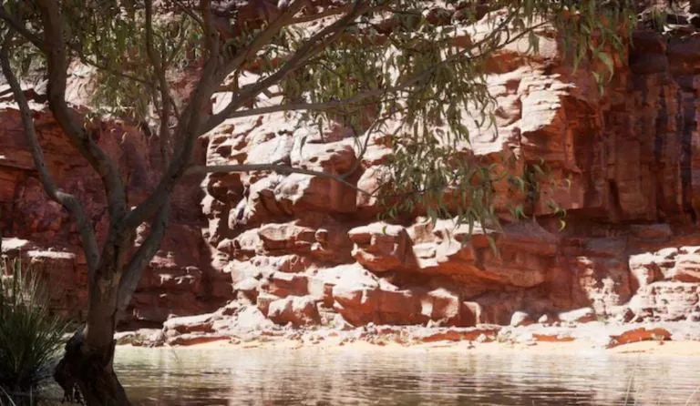 f768x1-351784_351911_0