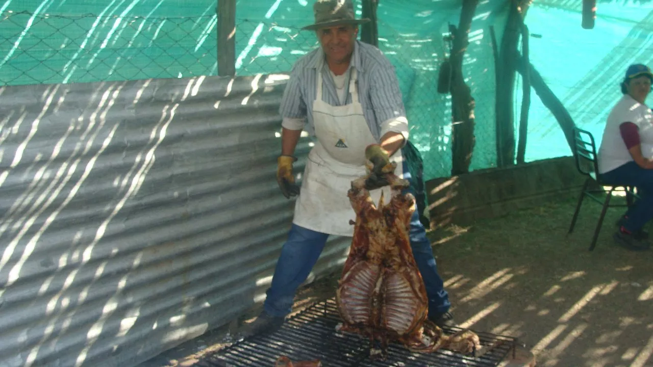 315439522_135996325900751_3277219346846501009_n