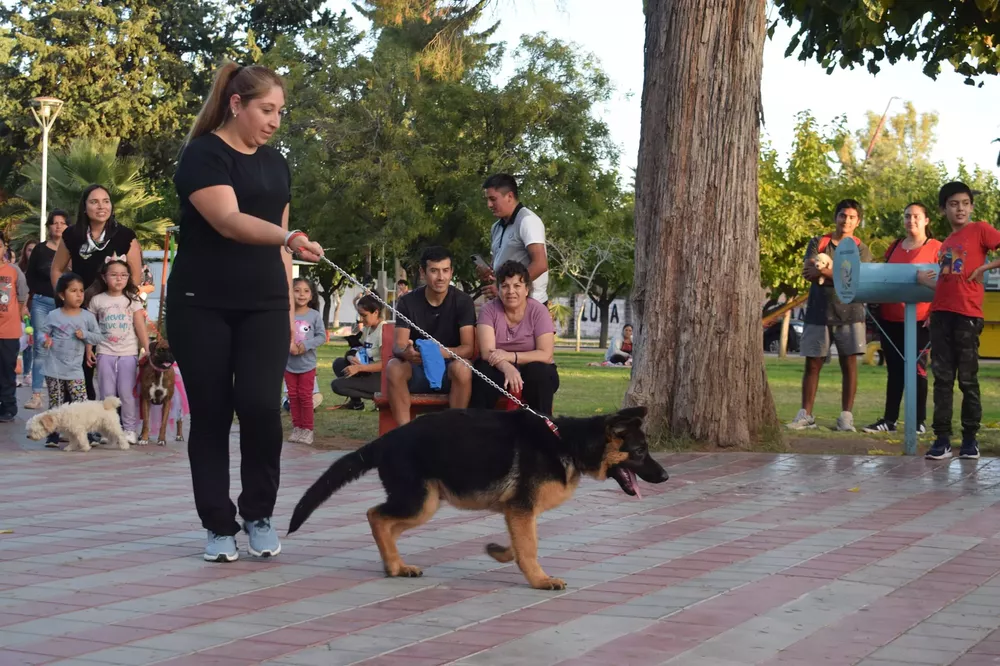 344715373_3369832006567960_4037161175195471315_n