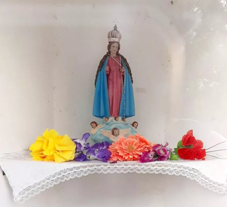 20220122_194014-768x701-1