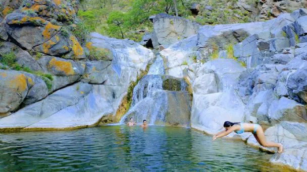 f608x342-218737_248460_31