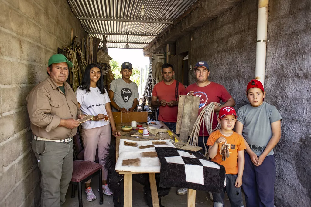 52492517512_087edec3d9_b