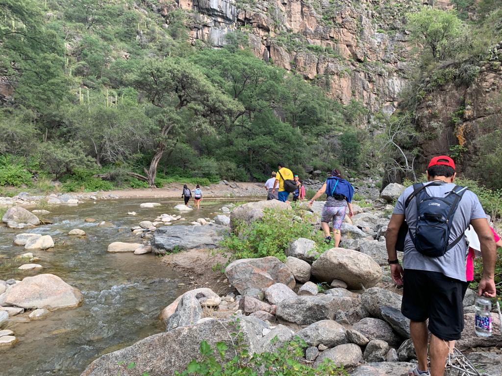 51092973966_188522f835_b