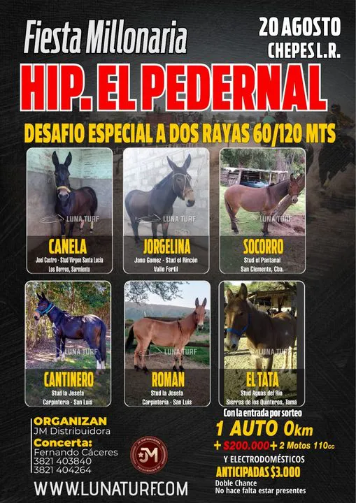 366656441_730304645775885_5879277589295021377_n