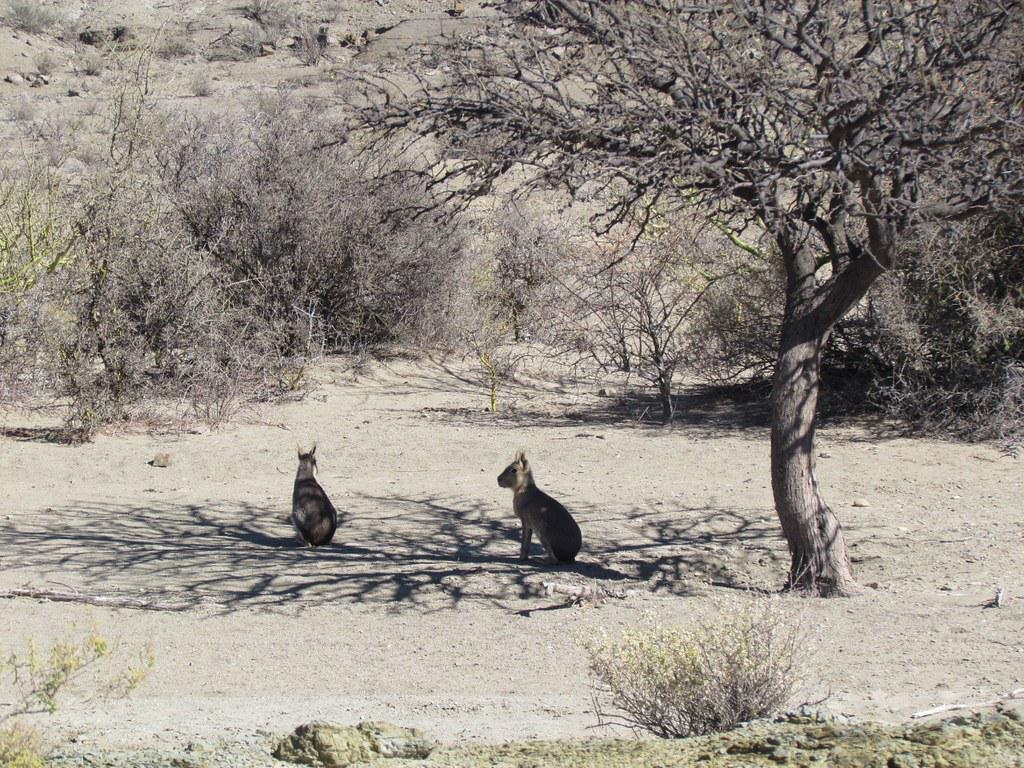 51682099459_5419377203_b