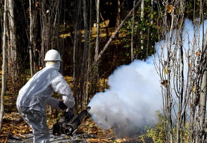 198389975_4135528843156956_3413099814838223009_n