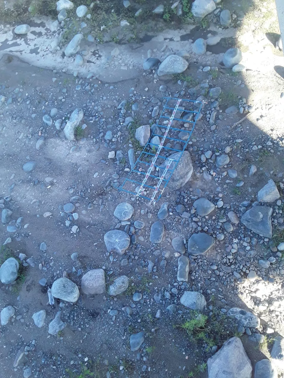 325724503_1308275533072149_1790409124349419052_n