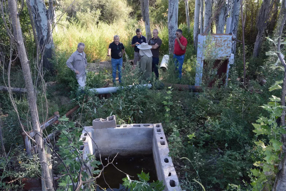 334632731_910666563587614_3584215649279296701_n