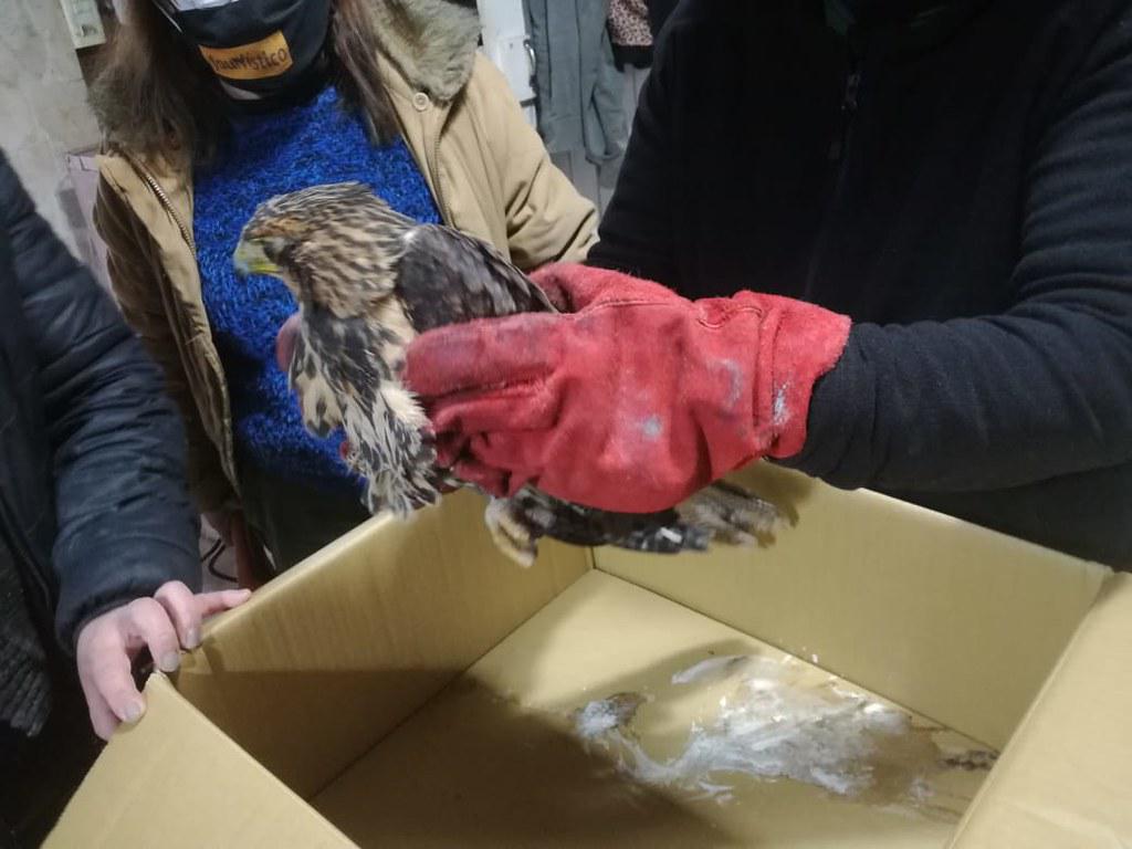 51296299847_c157d78319_b