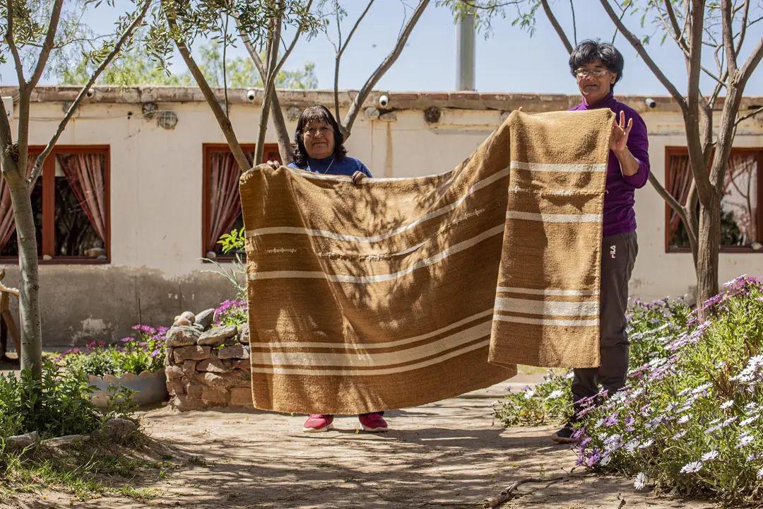 248034907_388672996244567_1265297603985504339_n