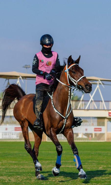 51819017369_78a13377da_o