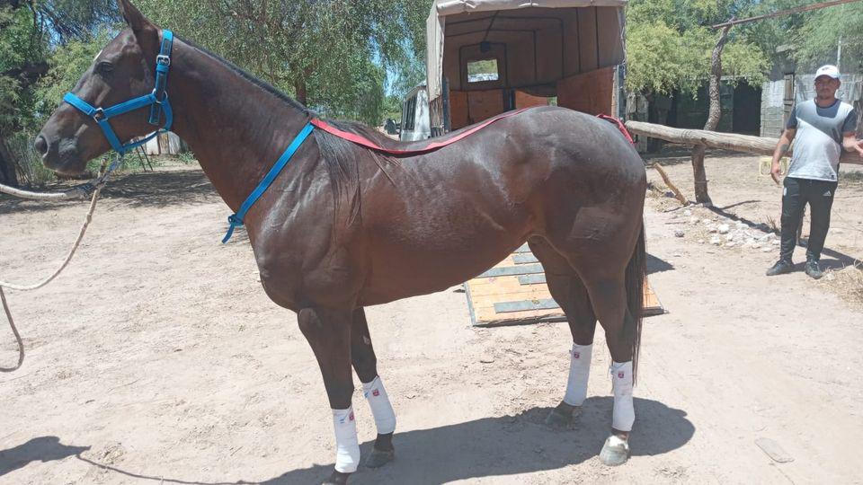 258760857_3049236368652998_8965043844088210670_n