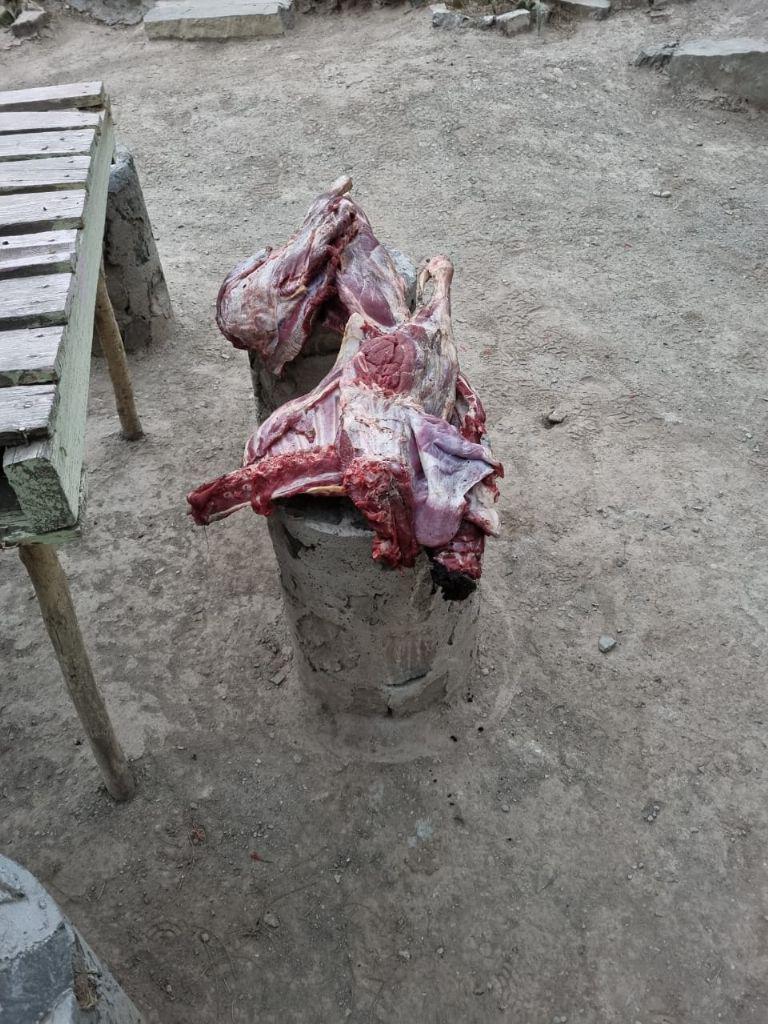 f768x1-308927_309054_5029