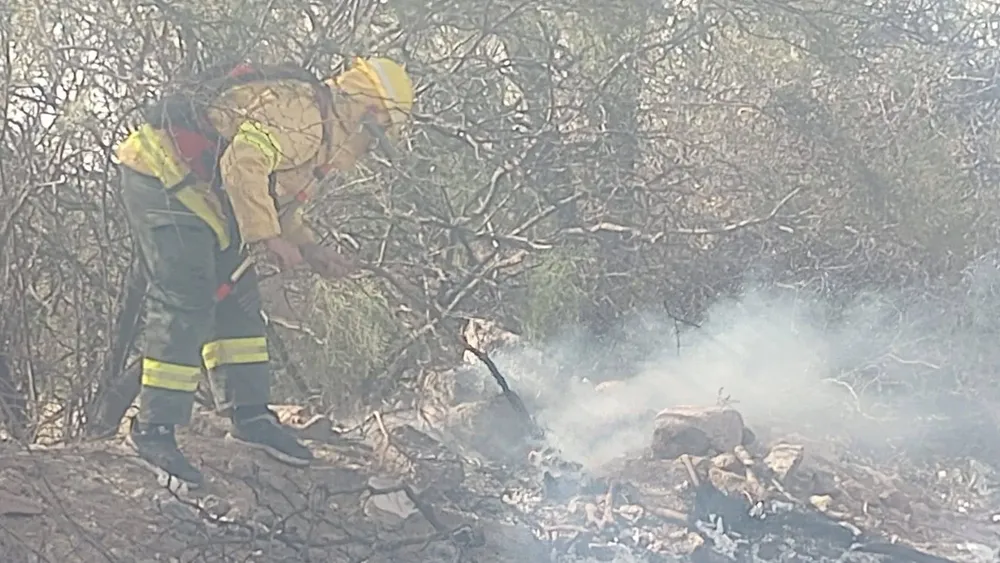 365252998_256125737277508_5116279191199690284_n