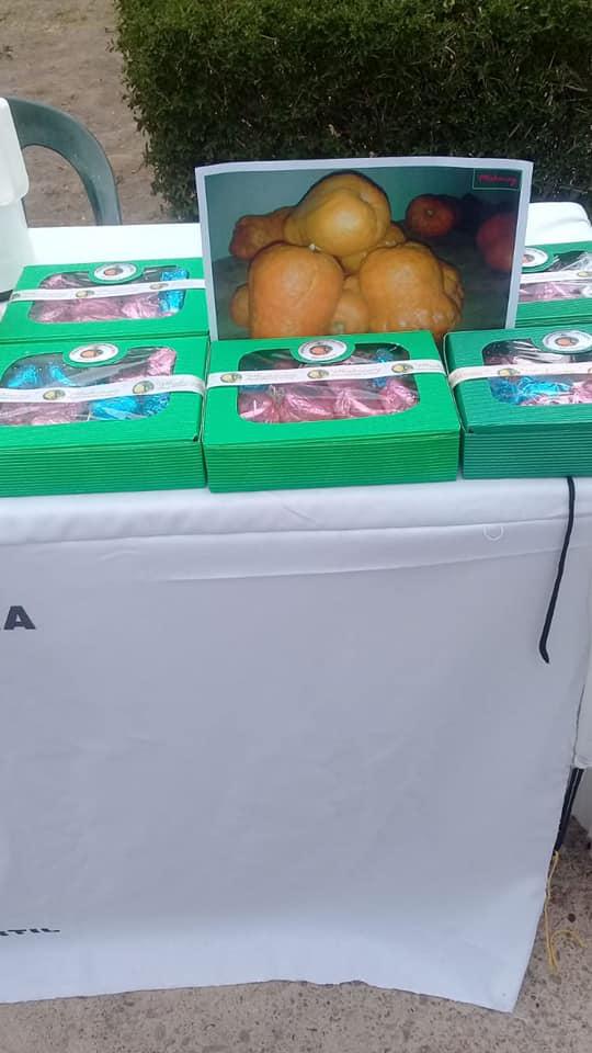 163887428_3908511742525335_5524111426820533095_n