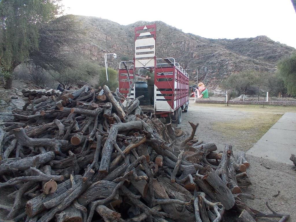 51384296162_24cfaf6483_b