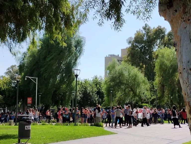 f768x1-333113_333240_5050