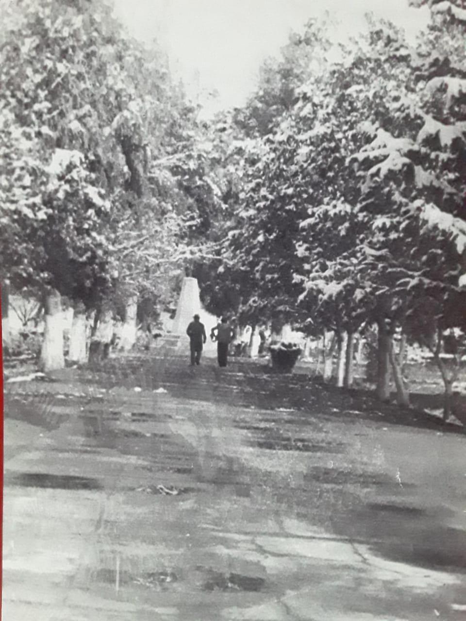 241207534_534748224498697_1095574308219653666_n